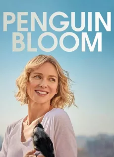 ดูหนัง Penguin Bloom (2020) เพนกวิน บลูม (Netflix) ซับไทย เต็มเรื่อง | 9NUNGHD.COM