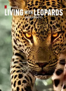 ดูหนัง Living with Leopards (2024) อยู่กับเสือดาว ซับไทย เต็มเรื่อง | 9NUNGHD.COM