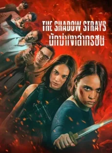 ดูหนัง The Shadow Strays (2024) นักฆ่าเงาล่าทรชน ซับไทย เต็มเรื่อง | 9NUNGHD.COM